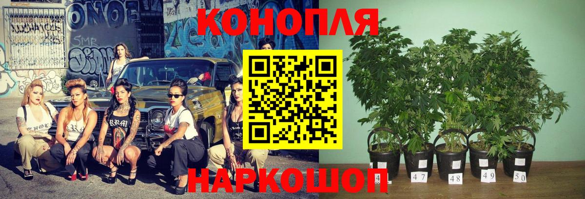 МАРИХУАНА конопля  Бошки Шишки планчик  Бошки Шишки сатива  Лянтор  Вход с VPN  Шишки марихуана гибрид 